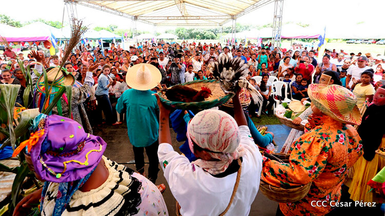 produccion-aves-nicaragua